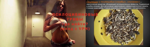 mdpv Гусь-Хрустальный