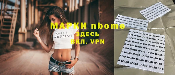 молекула духа Гусиноозёрск