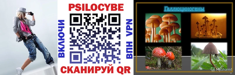 Галлюциногенные грибы Psilocybine cubensis  MEGA   Калуга  где продают  